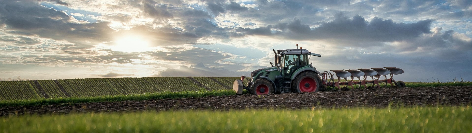 Tractor labrando un campo